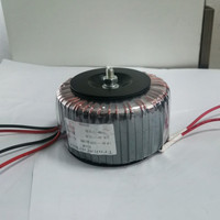 Transformateur toroïdal personnalisé 300VA 300W Entrée 110V 220V 230V Sortie 12V 18V 24V 26V 28V 45V pour alimentation Amplificateur audio