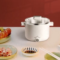 Usine propre conçu cuiseur électrique nouilles multi mini pot 1.5 litres voyage cuiseur électrique soupe chaude Pot pour usage domestique