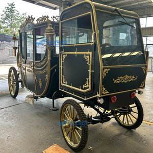Carrozza reale di lusso del cavallo con la carrozza a cavallo elettrica sigillata dell'automobile su misura l'alta qualità carrozza reale da vendere - Product Image 2