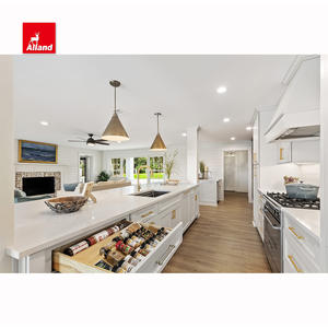 Coastal Dream Kitchens Panel empotrado manchado de madera maciza Manija pintada en blanco Puerta de vidrio Diseño de cocina Armario con Isla Grande - Product Image 5