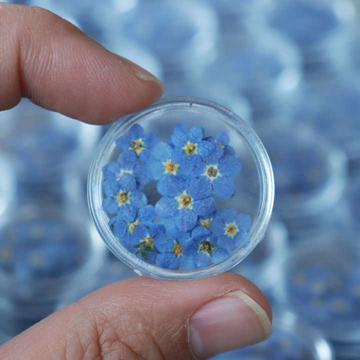 80 Fiori Secchi Non Ti Scordar Di Me Blu - Per Resina, Unghie, Gioielli Fai Da Te - Foto 6