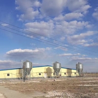 Silo d'alimentation automatique en acier inoxydable de petite taille pour ferme avicole de 20 tonnes pour le stockage des aliments