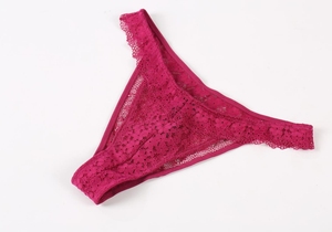 Ensemble de lingerie rouge baie personnalisé en dentelle, soutien-gorge transparent à armatures et string, 2 pièces, vêtements de nuit pour femmes, fabricant OEM - Product Image 3