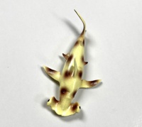 Nouveau design plastique requin marteau jouet animal de mer extensible Figure