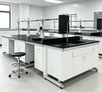 Banc de laboratoire en acier et bois à prix abordable, facile à nettoyer, avec étagères réglables pour institut de recherche