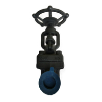 Vanne à opercule manuelle en acier forgé à vis externe KXC Z61H API 602 DIN BS CL1500, certifiée ISO9001:2008 CE, pour eau, huile et gaz