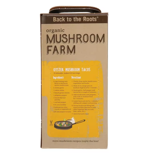 Kit de culture de champignons huîtres carrés écologiques Cadeau pour enfants pour le jardinage domestique - Product Image 4