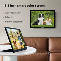 Layar E-Ink 6 Warna Definisi Tinggi 13,3 Inci, Tampilan Digital ESL, Label Harga Elektronik untuk Sistem EAS