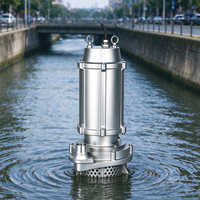Pompe à eaux usées submersible WQ(D)X-S 304 en acier inoxydable moulé de précision, basse pression, OEM, haute pression, avec sortie filetée BSP