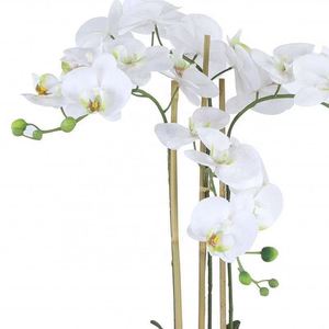 ดอกไม้กล้วยไม้ผ้าไหมสีขาวสัมผัสได้จริงเป็นมิตรกับสิ่งแวดล้อม - Product Image 6