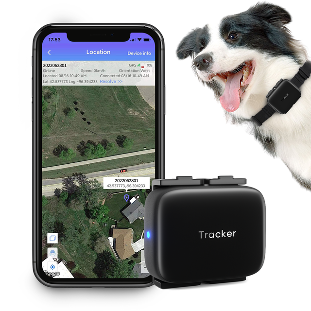 Waterproof Mini 4G GPS Pet Tracker for Dogs and Cats Portable Wireless Pet Tracker with Roof Placement Automotive Use