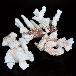 Pierre de Coralline CrystalHola en Gros, Spécimen de Pierre Cristalline en Forme de Fleur 3-15cm, Tendance Mode pour Souvenirs Feng Shui et Cadeaux de Remise de Diplôme - Product Image 1