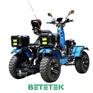 Karting sportif 4x4 hybride tout-terrain, scooter électrique, batterie 150AH, kart tout-terrain pour routes non publiques - Product Image 2