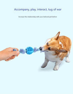 Venta caliente esencial, Limpieza de <span class=keywords><strong>dientes</strong></span> resistente a mordeduras de <span class=keywords><strong>perros</strong></span> | Cuerda de algodón Bola de doble nudo Juguete indestructible para mascotas - Product Image 2