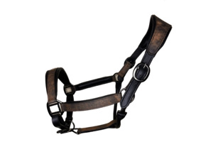 Riel de cuero duradero occidental ecuestre internacional Z S al por mayor equipo de carreras de caballos impermeable caja de cabestro de cuerda - Product Image 5