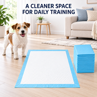 Tapis d'entraînement jetables pour chiens, en gros, à absorption rapide, surface haute performance, base imperméable pour usage intérieur