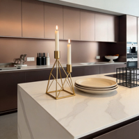 Ensemble de meubles de cuisine modulaires modernes en acier inoxydable de style européen avec poignées encastrées, tiroirs à fermeture amortie, glissières de tiroir, crédence et évier