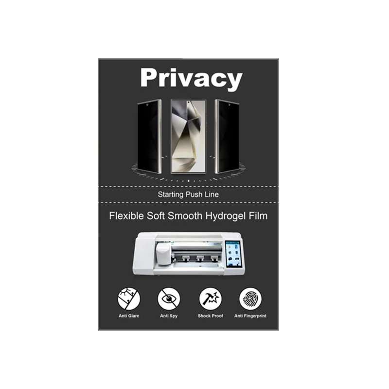 Privacy Ghiacciata