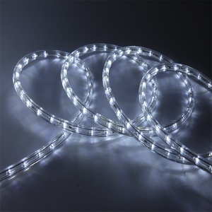 Vendita calda esterna di colore che cambia illuminazione corda luce della corda del led 220v 110v 24v 12v - Product Image 1