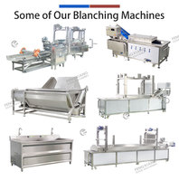 FENGXIANG 400-600kg/uur Commerciële Fruit- en Groenteblancheermachine 220V/380V Automatische Blancheringsmachine
