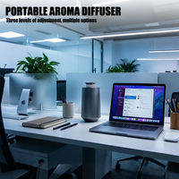 Diffuseur d'arômes pour voiture, mini, rechargeable par Type-C, pulvérisateur d'huiles essentielles, nébuliseur à nano-brume, aromathérapie portable, pour la maison et l'hôtel