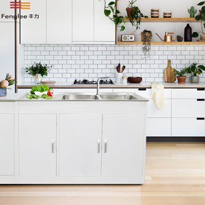 Gabinetes de Cocina de Acero Laminado en Frío con Fregadero de Acero Inoxidable, Garantía de 10 Años, Recubrimiento Electrostático en Polvo para Apartamentos - Product Image 6