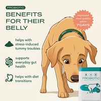 Poudre de Probiotiques pour Chiens – Haute Teneur en Protéines – Toutes Races – Compléments Santé – Marque Blanche – Formule Spéciale pour Soutenir la Santé