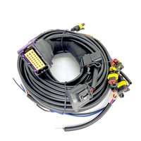 Kit de GLP Convencional de Fácil Instalación, Kit de ECU MPFI para Autos de 4 Cilindros, 24 Pines, CNG, GNV, GLP, GNC, YZ24