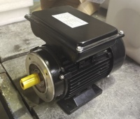 Moteur électrique à induction monophasé à démarrage par condensateur ML 2 pôles 0,55 kW 220 V 50 Hz, coque en aluminium, IP44/IP54, entièrement fermé