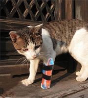Vente chaude Étanche Moulable Rouleau Fracture Fixation Attelle Médicale D'urgence En Aluminium Attelle De Premiers Secours