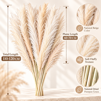 Herbe de la Pampa Naturelle Séchée en Gros, Grande Taille 120cm, Bouquet de Fleurs Flottantes pour Mariage, Événement, Décoration d'Intérieur, Décoration de Vase