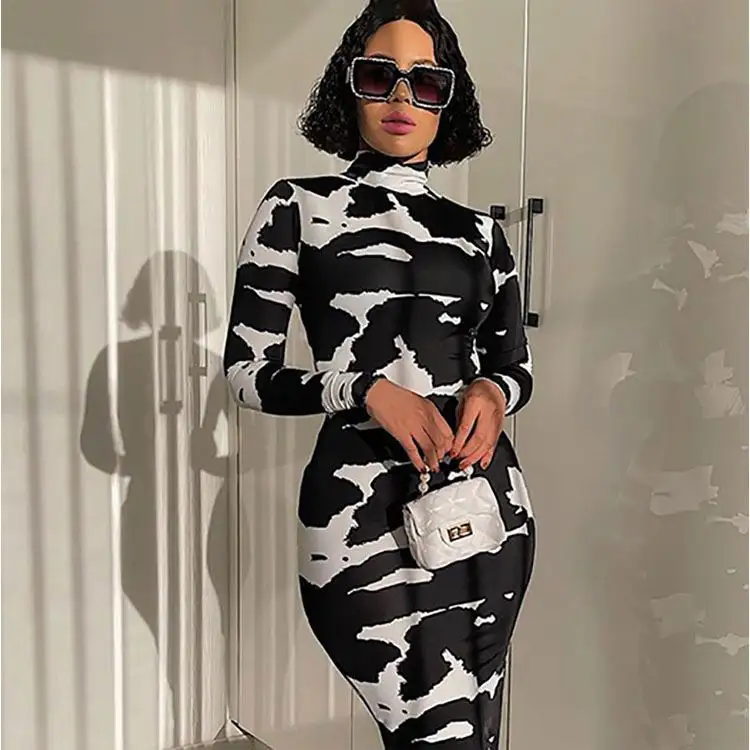 Autumn And Winter 2021 New Fashion Printed High Neck Long Sleeve Slim Dress