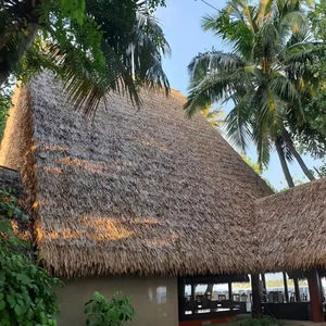 Pavillon <span class=keywords><strong>de</strong></span> toit <span class=keywords><strong>de</strong></span> chaume artificiel traditionnel pour <span class=keywords><strong>Bali</strong></span> Seaside Resort Effet naturel protégé contre les UV Good Is Good - Product Image 1