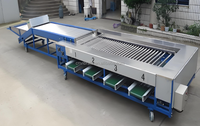 Vbjx Aardappelen Knoflook Kersenpruim Dadels Cashew Ananas Sorteermachine Sorteermachine Voor Groentefruit