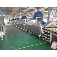 Chaîne de production frite de nouilles de machine de nouille instantanée