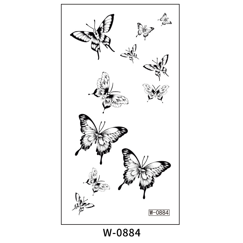 W-0884