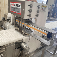Nouvelle machine à kebab Shwarma automatique alimentée par l'électricité avec acier inoxydable 304 et conception portable
