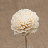 Tige de diffuseur de roseau mixte Sola à tige mixte fleur en bois diffuseur de fleur blanche Sola fleur avec corde en coton
