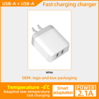 Evrensel Seyahat Şarj Cihazı Çift USB 2.1A Hızlı 10W Duvar Adaptörü AB/ABD Fişi Cep Telefonları Tabletler için Daha Fazlası
