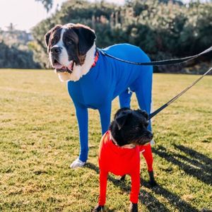 Camiseta Interior Elástica para Mascotas Shine de Cuatro Patas, Talla Mediana a Grande, para Invierno - Product Image 1