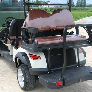 Carrito de golf eléctrico de 48V con baterías de litio duraderas de 48V Opción de tracción en las 4 ruedas de alta resistencia - Product Image 4