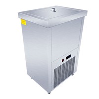 Professionele commerciële machine voor het maken van ijslollies met hoge productiviteit, geschikt voor water en melk, nieuw.