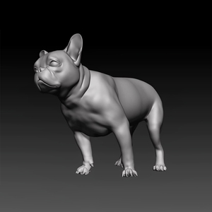 Servicio de Impresión 3D Personalizado para Piezas Metálicas para Perros - Tecnología SLM, Acero Inoxidable 316L, Aluminio, Titanio |   Prototipado Rápido - Product Image 2
