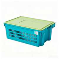 TSS-RBTB 600*400*230 Boîte de manutention en plastique PP 2,5 mm d'épaisseur, emboîtable et empilable, réutilisable, robuste, 40L pour supermarché