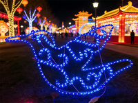Luces LED Impermeables para Exteriores IP65, Motivos Navideños 2D para Centros Comerciales, Parques, Hoteles, Fácil Instalación, Longitud Personalizable