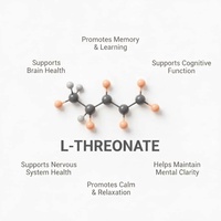 OEM Magnésium L-Thréonate 90 Capsules, Magnésium à Absorption Élevée, Compléments Cérébraux pour la Mémoire et la Concentration