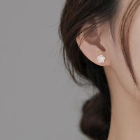 0411 S925 Sterling Silber Blumen-Ohrstecker für Damen Neues Kleinserien-Design Einfache und Leicht Luxuriöse Rosen-Ohrringe