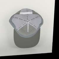 Gorras de golf impermeables de poliéster con logo de goma personalizado para hombre, con orificios cortados a láser, gorras de 5 paneles con cuerda, al por mayor