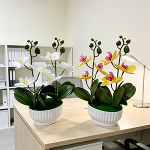 Orchidée Phalaenopsis Artificielle en Bonsaï, 2 Tiges, 6 Fleurs, Plante Artificielle en Caoutchouc Souple, Décoration de Bureau, Ornement d'Intérieur en Pot Vert - Product Image 3