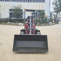 Caricatore Multifunzione a Batteria Nuovo Design Carico Nominale 500kg Caricatore Frontale Elettrico DY25E